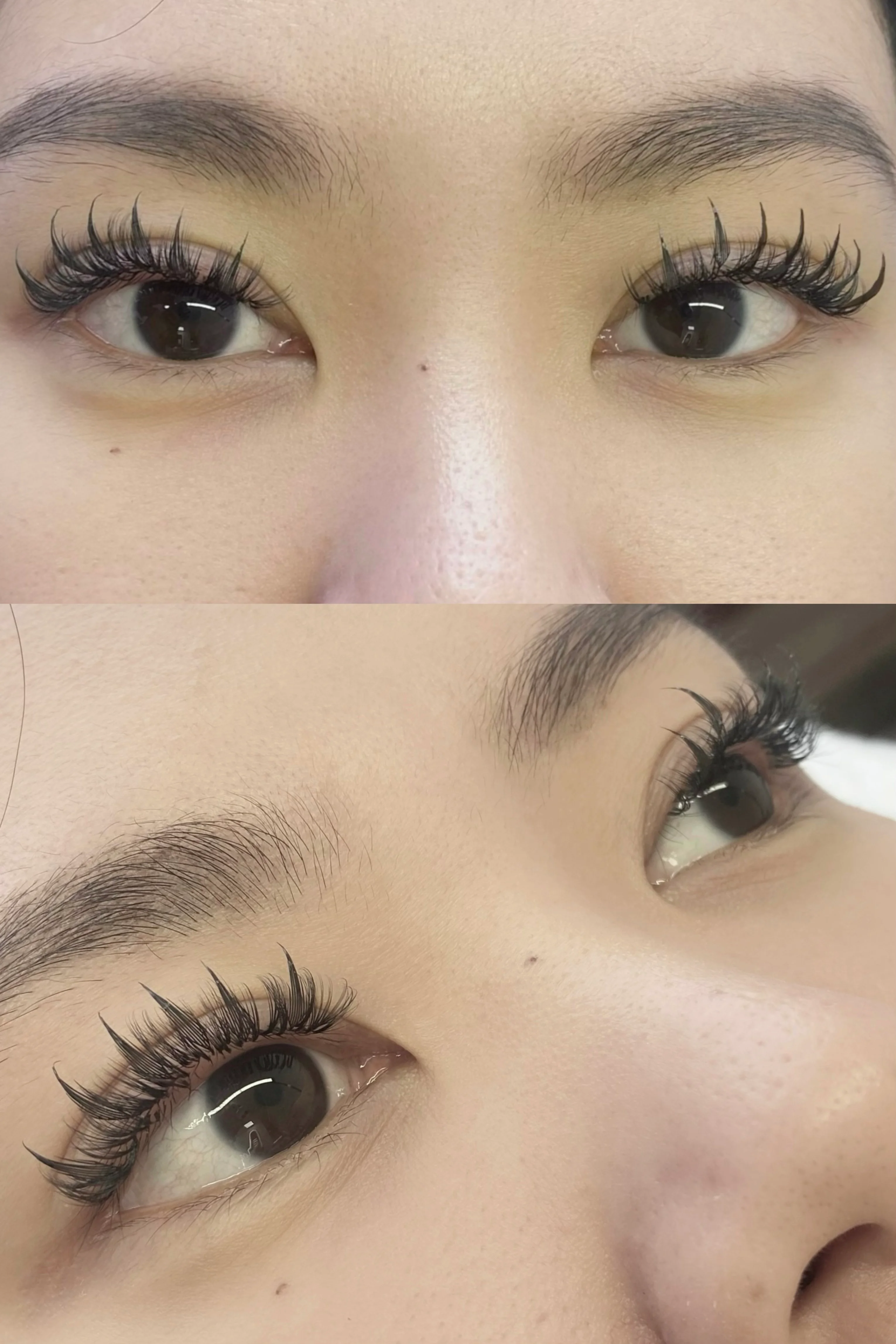 Anime Lash